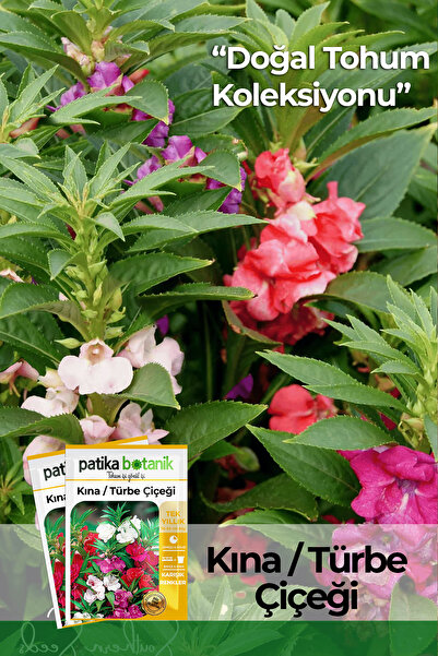 Patika Botanik 30 Adet Kına (IMPATİENS BALSAMİNA) Çiçek Tohumu