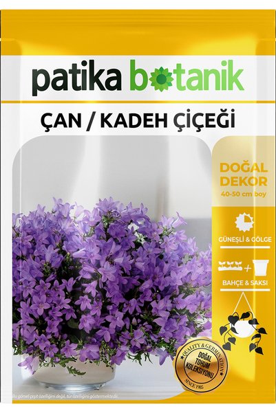 Patika Botanik 100 Adet Çan Kadeh Çiçek Tohumu (Campanula L.)
