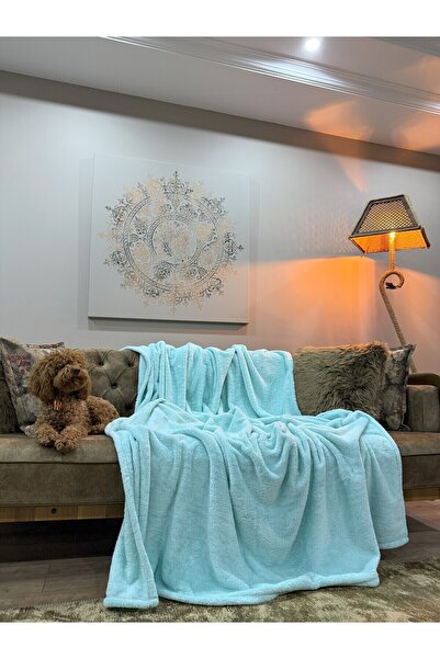 Fronte Home بطانية تلفزيون فردية ناعمة من القطيفة باللون الأزرق