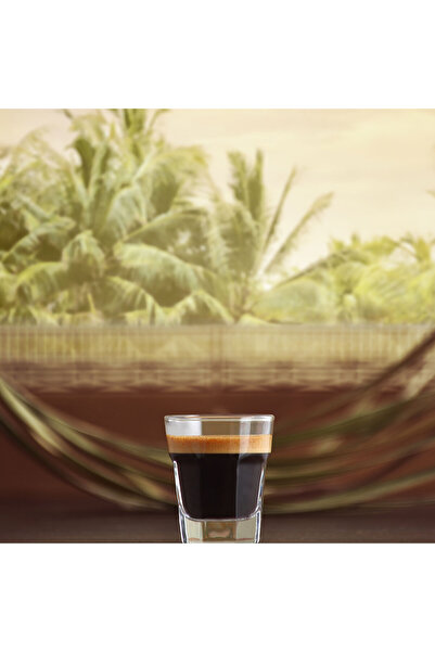 LAV Aras 6 Pieces Liquor Cup Fma04423