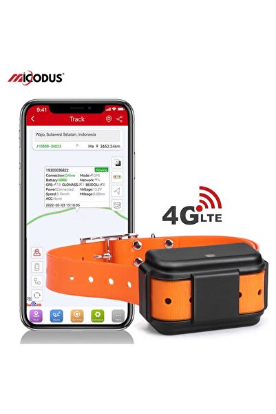 GpsGoPro Micodus Mp50g Evcil Hayvan Takip Cihazı - Gerçek Zamanlı Takip 12 Ay...