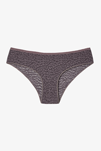 Penti Brown Lace Mid-Waist Hipster Panties