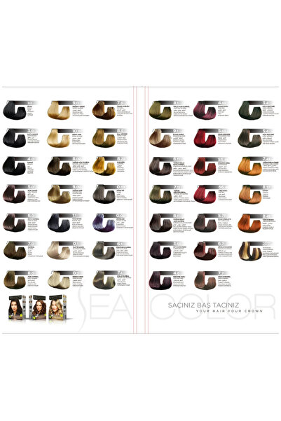 Sea Color 0.02 Gümüş Gri Set Boya