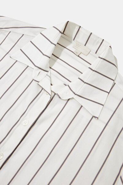 W Collection White Judge Collar Long Sleeve Striped Shirt