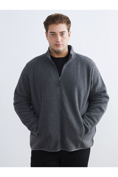 LC Waikiki Grey Standard Mold guler ridicat Polar pentru bărbați, cu fermoar,...