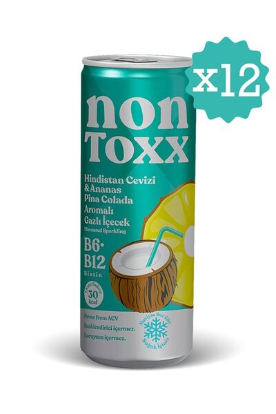 NON TOXX Nontoxx Hindistan Cevizi & Ananas Aromalı, Sirkeli, Gazlı İçecek 250 ML