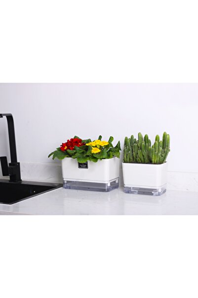 Saksıdan Sofraya Otomatik Sulamalı Dikdörtgen Akıllı Saksı
