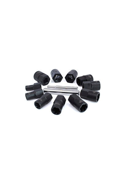 ASTA Set of 11 extractors for broken screws, damaged nuts,