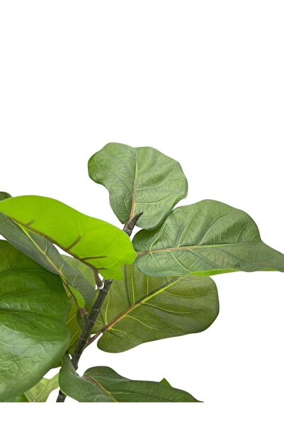 Casco Artificial plant, 150cm tall, with an elegant round pot