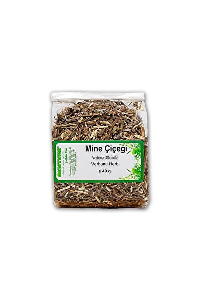 Biostore Mine Çiçeği 40 G