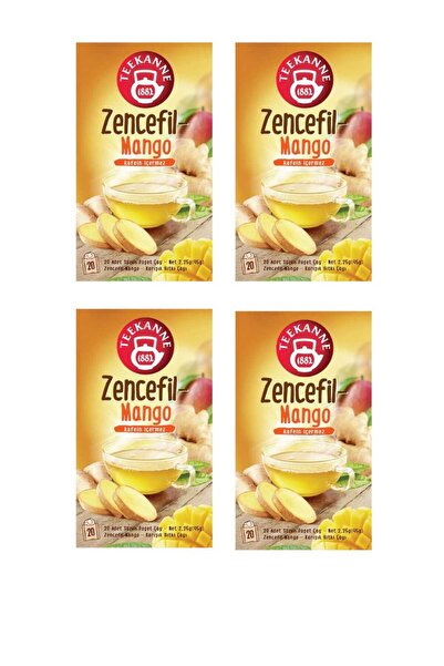 teekanne Doğal Zencefil ve Mango Aromalı Bitki Çayı 4'lü Egzotik Paket (4 Kut...