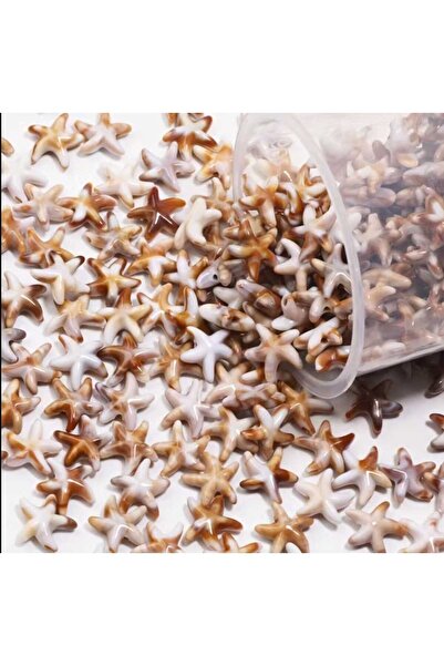 yiğit aksesuar 20 Adet Kahve Krem Kolye Bileklik aksesuarı Havlit Deniz yıldızı boncuk