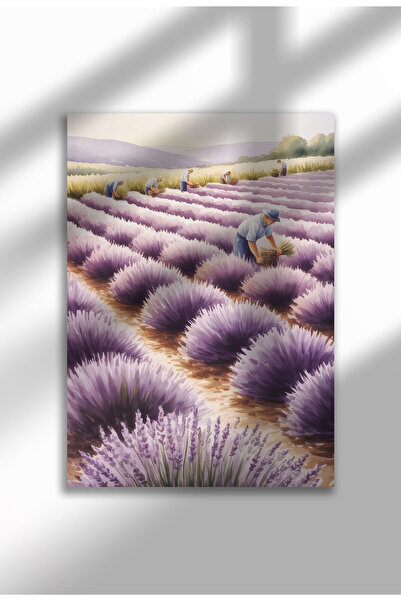 21mxm Unframed Lavender Canvas Poster - Digital Print on Matte Canvas - Lavender harvest scene