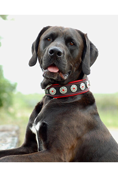 Bestia Bijou Collar, Leather, M, Black/Red