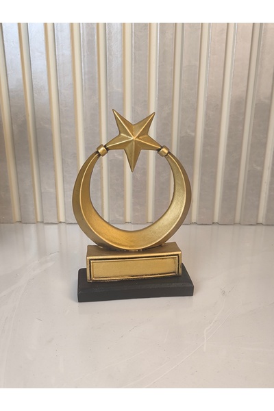 SM Sanat Evi Ay Yıldız Kaideli ( Türk Bayrağı)