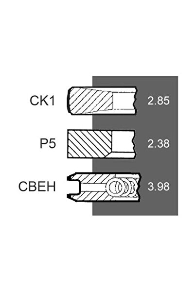 MAHLE Segmenti motor New Holland 8094845