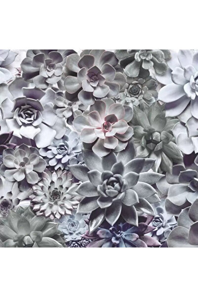 Komar Fotomurale florale 8-962