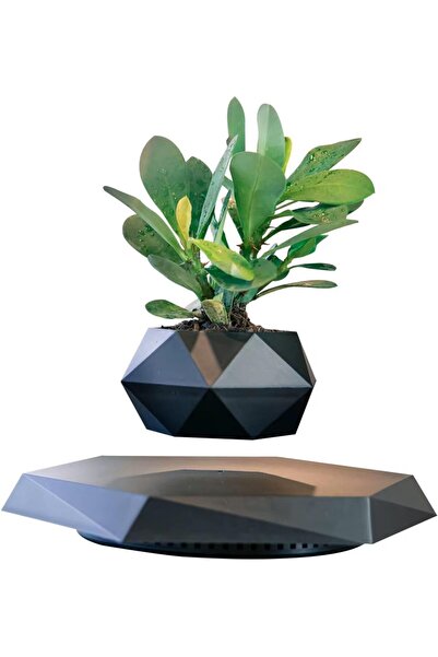 Generic SPECTON Magnetic Levitating Plant Pot, Floating Indoor Planter
