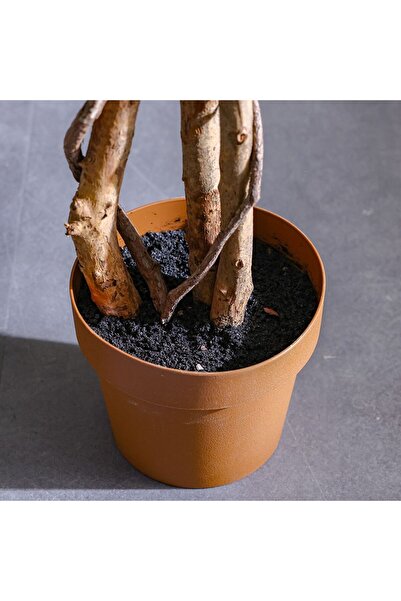 Danube Home Faux Ficus Tree 203 cm – Real Touch Artificial Indoor Statement Plant