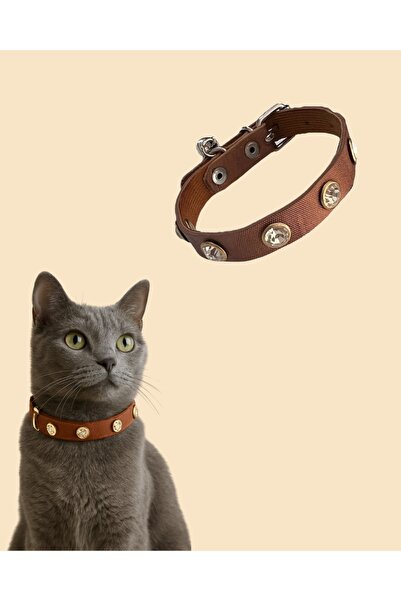 GOLD BE Stylish and Safe 27 cm Cat Collar – Bell & Stone Design