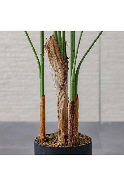 Danube Home Artificial Phoenix Palm Tree – Lush Faux Tropical Indoor Plant, Premium Decorative Palm