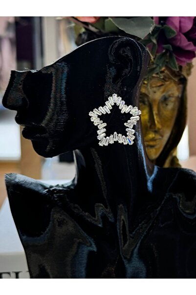 My Life Accessory Zircon Stone Star Model Steel Earrings Shiny and Stylish Design