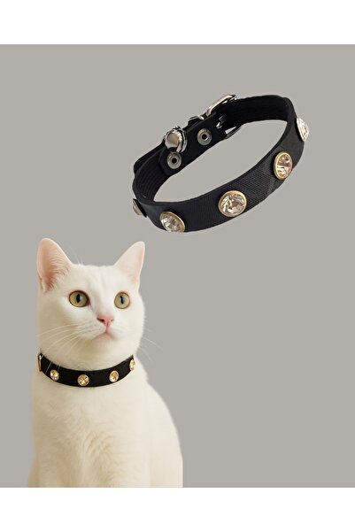 GOLD BE طوق قطط أنيق وآمن بطول 27 سم - تصميم مع جرس وأحجار