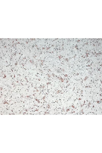 DURAKS DKS - 1 No: 23) 4 m² | İpek Sıva & Canlı Sıva & Pamuk Sıva & Yalıtımlı...