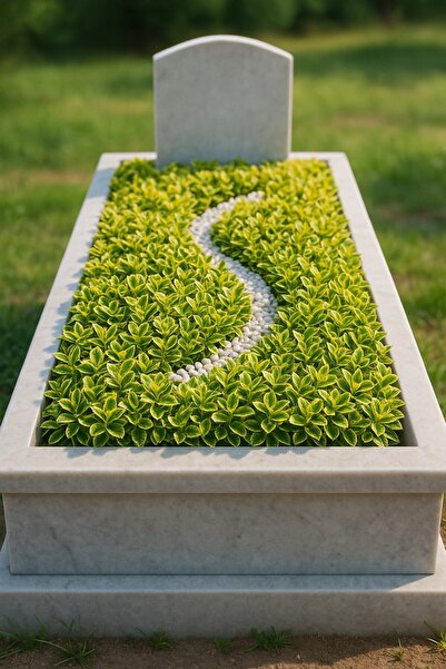 Tunç Botanik MEZAR - KABİR SARI BİTKİ SETİ - 10 ADET GOLD TAFLAN 20-30 CM