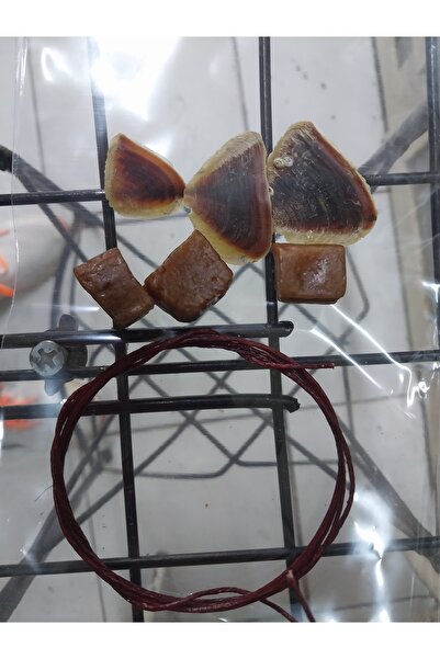 Aselife Çiriş 1 metre + Şeytan tersi 3 adet +Cin tırnağı 3 adet [Nazar]için