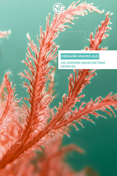 Yves Rocher Arındırıcı Kuru Şampuan - Tüm Saçlar / Purete - Tuzsuz-93680