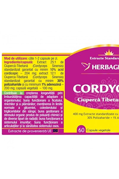 herbagetica Cordyceps – Promo Pack 120 + 120 Capsules (240) – Energy, Immunity & Physical Perfor