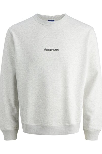 Jack & Jones Men's Gray Sweatshirt (Model Code:12282893)