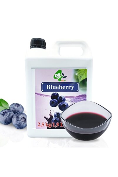 EFE UNIVERSE Sirop de afine 2,5 kg – Aromă intensă și fructată, perfect pentr...