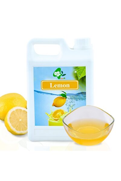 EFE UNIVERSE Sirop de lămâie 2,5 L – Aromă proaspătă și răcoritoare, ideal pe...