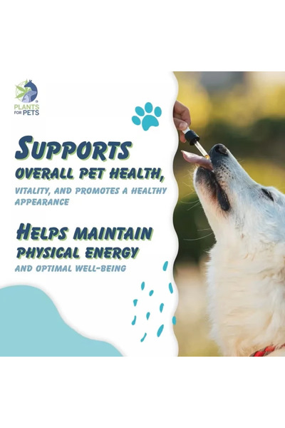 Plants for pets Ulei CBD 10% (1000mg) și CBG 1% (100mg) pentru animale Pisici și Câini - Ficat de cod | 10ml