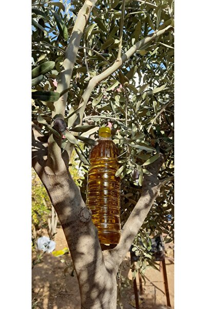 Hamza Bey ZEYTİNYAĞI ORJINAL SIZMA 1 LİTRE YENİ MAHSUL