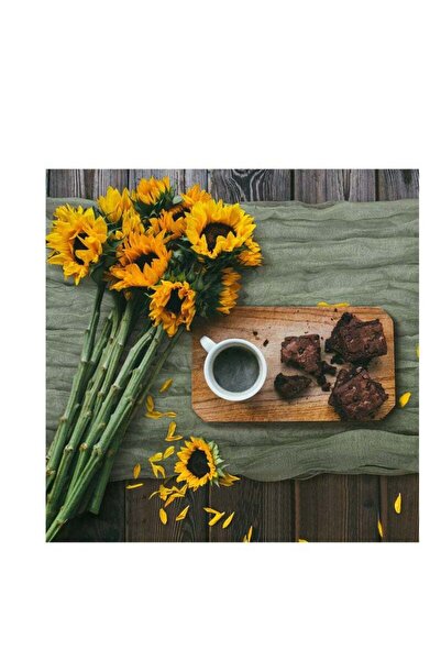 Generic 10 Pieces Gauze Cheesecloth Napkins, 19.7 x 19.7 Inch, Sage Green