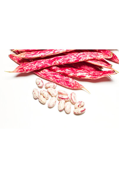 Otantik Tatlar Taze Barbunya Fasulye (2 Kg)