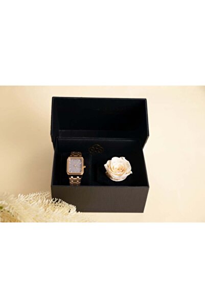 LIGANT Men's Gold Stainless Steel Watch