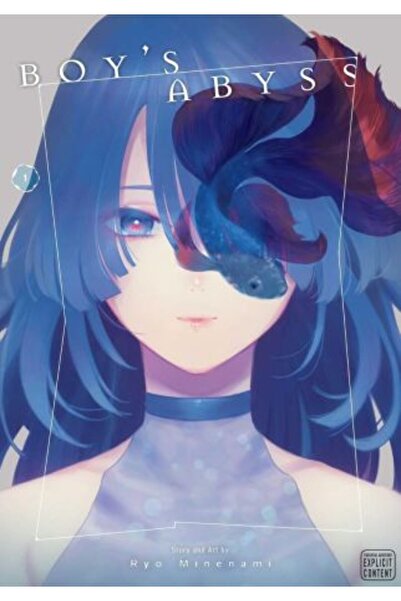 Viz Media Abisul Băiatului Vol. 1