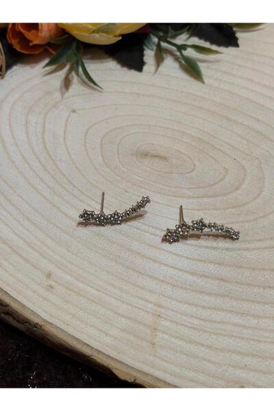 golden takış Small Star Pattern Earrings