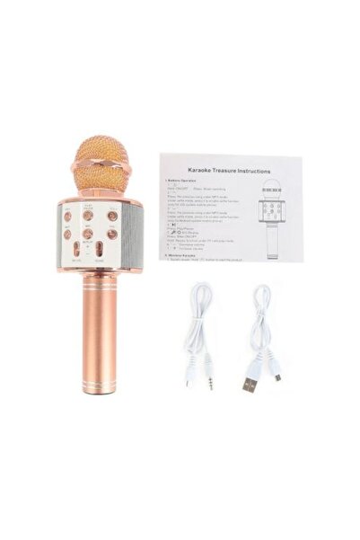 stuffix Wireless Karaoke Microphone with Bluetooth Speaker