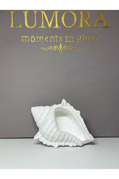 Lumora moments Decorative Sea Shell