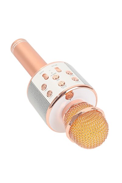 stuffix Reflection Vision professional wireless karaoke microphone system with Bluetooth 4.1 and built-in sp