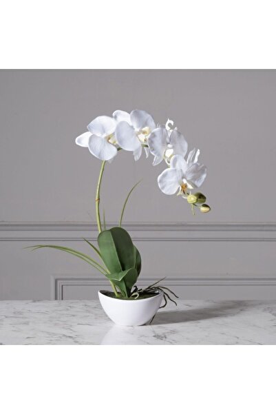 SUPERGREENS Orhidee artificială Phalaenopsis reală 50 cm