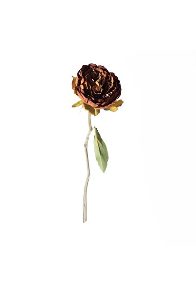 SUPERGREENS Bujor artificial bej 34 cm