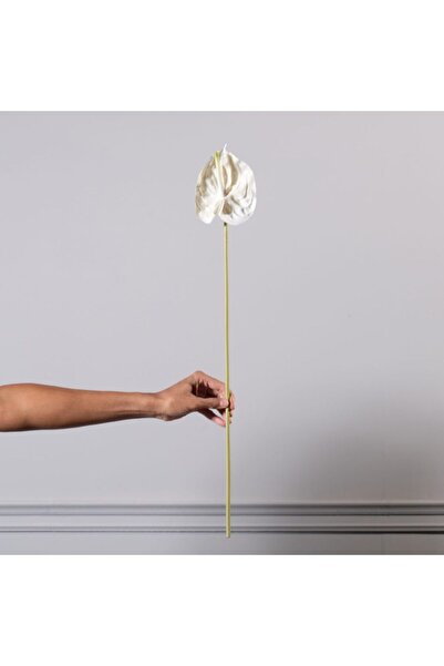 SUPERGREENS Anthurium plantă artificială albă 66 cm (alb)