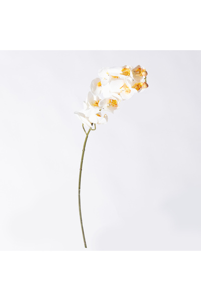 SUPERGREENS Artificial Orchid Orhid White 75 cm