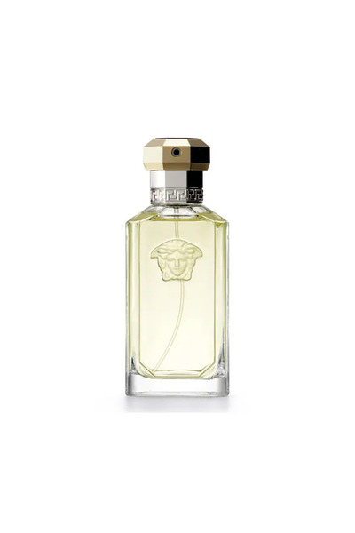Versace The Dreamer, Apă de toaletă, Pentru bărbați, 100 ml